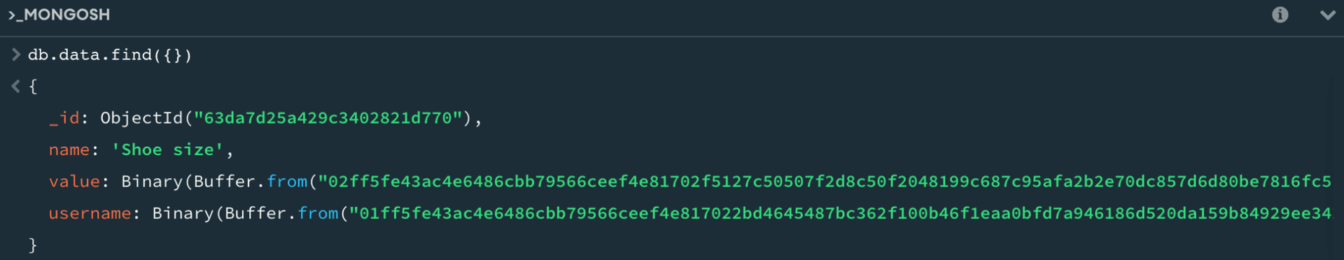 mongosh shell output when querying the database